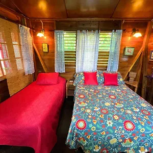 Hostel Judy House And Negril